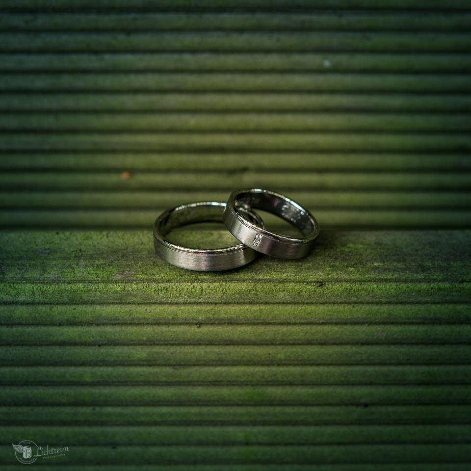 frank metzemacher photography lichreim concertpixx 1208