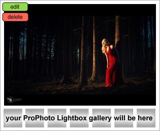 lightbox placeholder 1429729569
