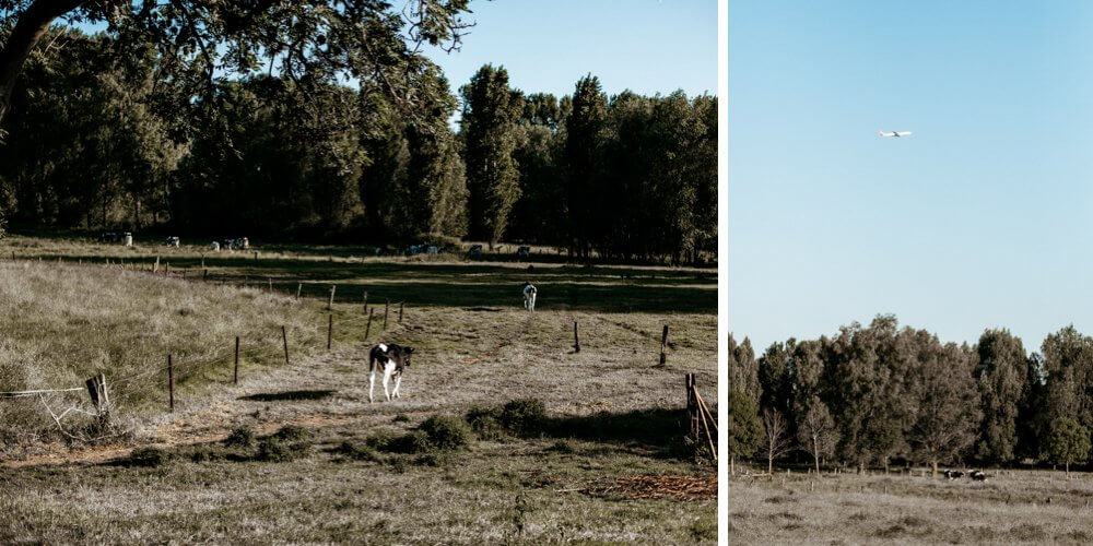 Hochzeitsfotograf Meerbusch - Pflanzhof