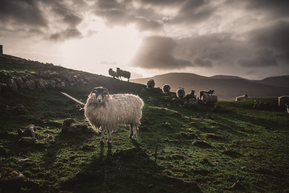 Hochzeitsfotograf Schottland